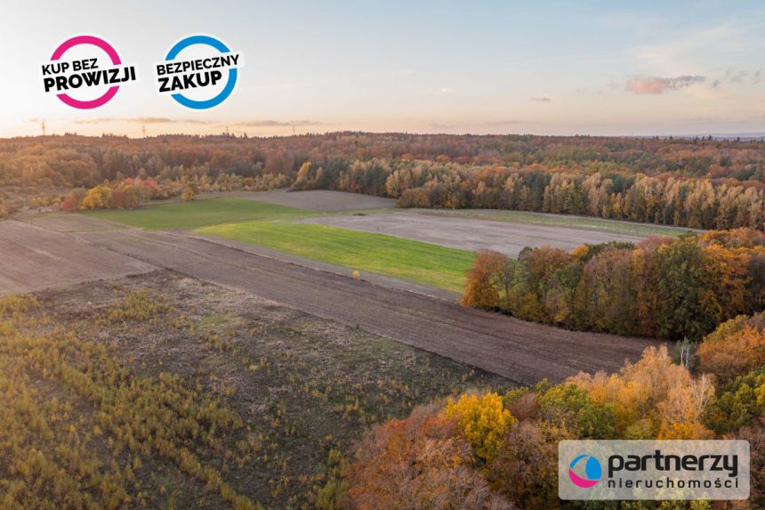 Buszkowy, 130 000 zł, 58 ar, rolna miniaturka 5