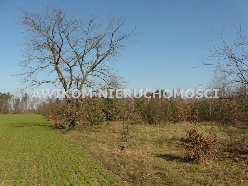 Rzymiec, 270 000 zł, 40 ar, przyłącze elektryczne miniaturka 8