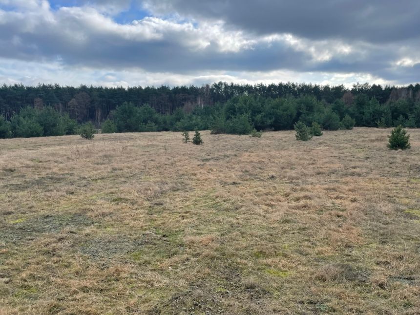 Arciechów - kształtna działka pod lasem miniaturka 3