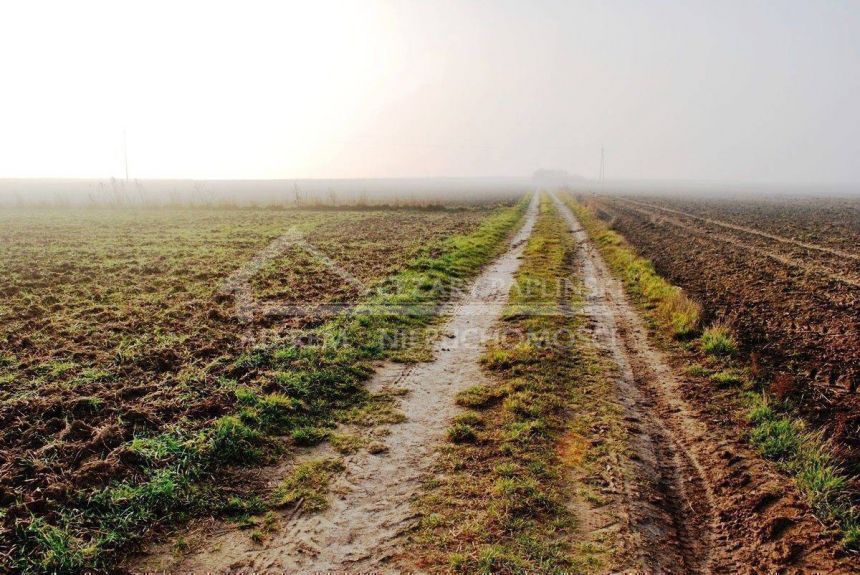 Dziuchów, działka budowlana 1800 mkw., 7 km od Lublina miniaturka 12