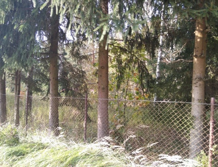 Wolica Kolonia Wolica 419 000 zł 13.86 ar - zdjęcie 1