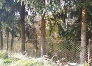 Wolica Kolonia Wolica 419 000 zł 13.86 ar miniaturka 1