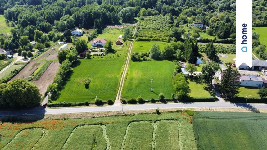 Działka rolna 3 598 m² – Strzelce Dolne - zdjęcie 1