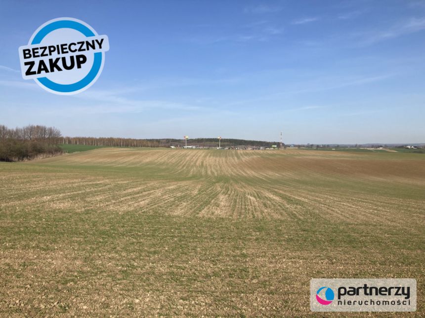 Różyny, 37 302 320 zł, 16.96 ha, przyłącze prądu - zdjęcie 1