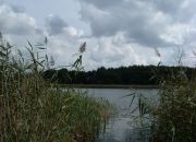 Trojaczek, 349 000 zł, 2.3 ha, rolna miniaturka 11