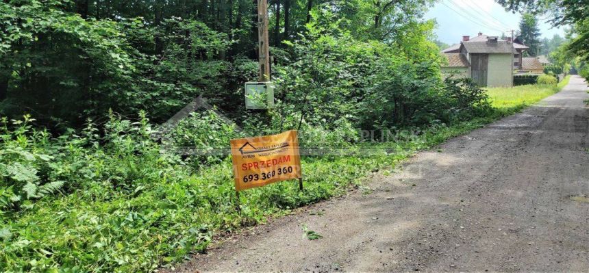 Kazimierz Dolny 2 ha lasu plus siedlisko/rekreacja miniaturka 16