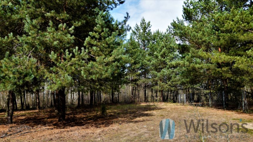 Ludwinów, 93 900 zł, 12.52 ar, rekreacyjna miniaturka 4