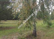 Działka 1352m2 w sąsiedztwie lasu Ojrzanów miniaturka 6