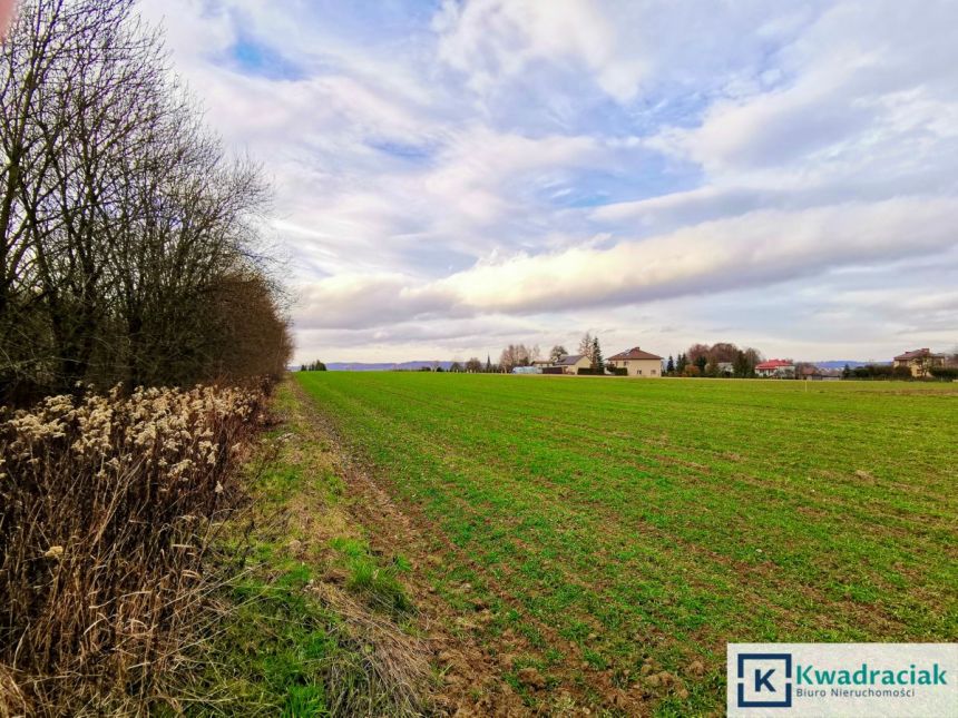 Osobnica, 115 000 zł, 46 ar, rolna miniaturka 5
