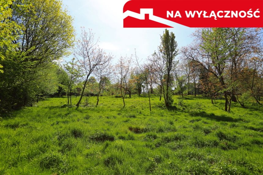 Działka rolno-budowlana z lasem miniaturka 13
