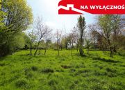 Działka rolno-budowlana z lasem miniaturka 13