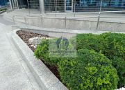 Mokotów: biuro 173,80 m2 miniaturka 7