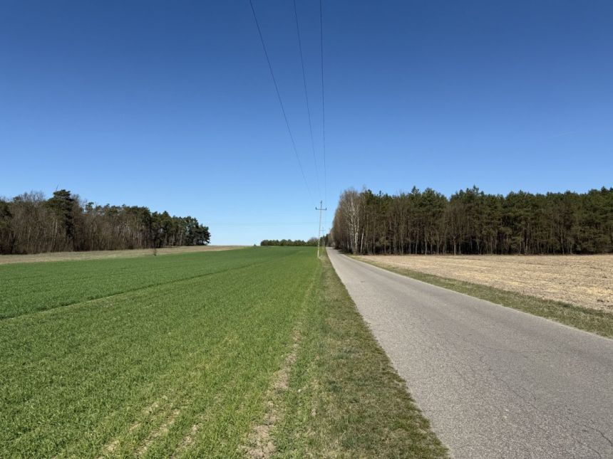 Skórka, 88 500 zł, 15 ar, droga dojazdowa asfaltowa miniaturka 3