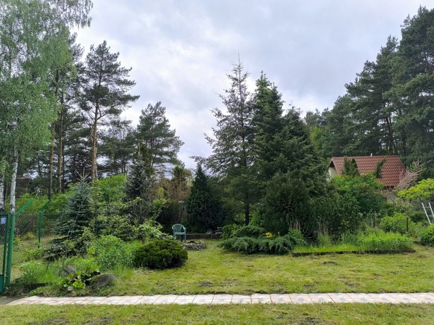 Cicha działka z domkiem w otulinie lasu koło rzeki miniaturka 3