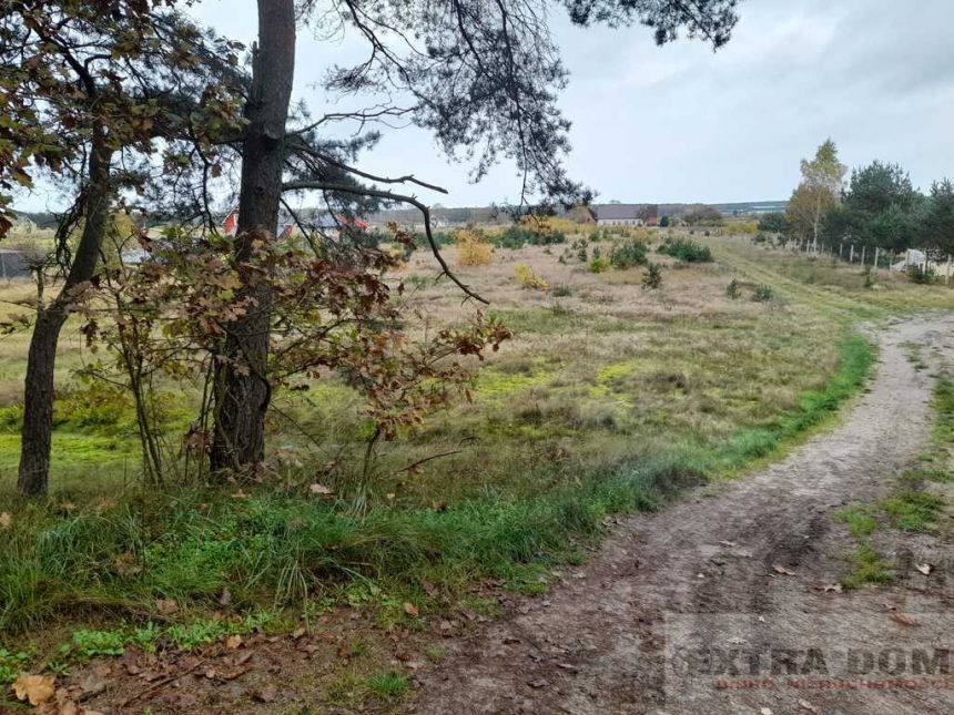 Żdżary, 160 000 zł, 15.63 ar, prostokątna miniaturka 2