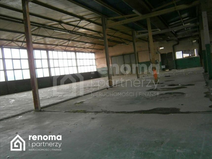 Koszalin, 13 020 zł, 1085 m2, pietro 1 miniaturka 5