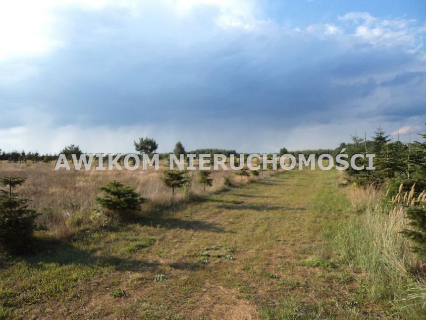 Grzegorzewice 13 900 000 zł 2463220 m2 miniaturka 6