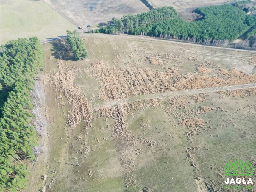 Kołaczkowo Skórzewo 1210m2 jeziora las woda miniaturka 8