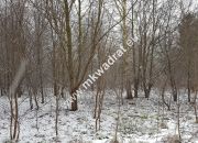 Działka z planem zagospodarowania miniaturka 3