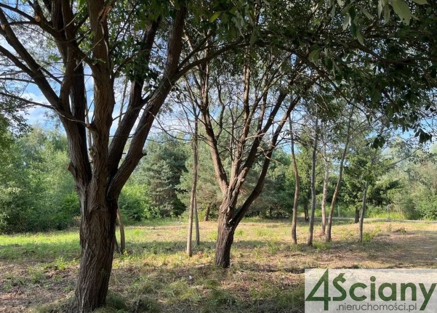 Szczęsne, 540 000 zł, 18 ar, płaska miniaturka 3