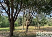 Szczęsne, 540 000 zł, 18 ar, płaska miniaturka 3