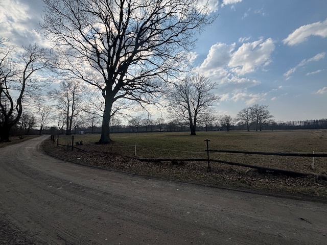 Działka 3,74 ha 30 km od Warszawy, rzeka, las miniaturka 8