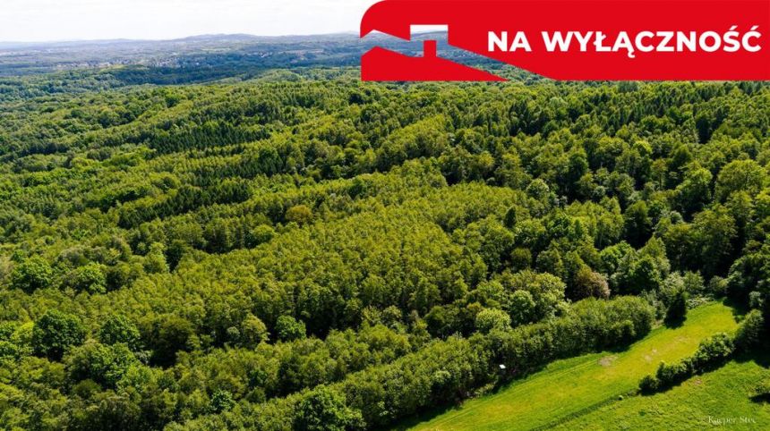 Działka leśna w Skrzyszowie miniaturka 5