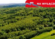 Działka leśna w Skrzyszowie miniaturka 5