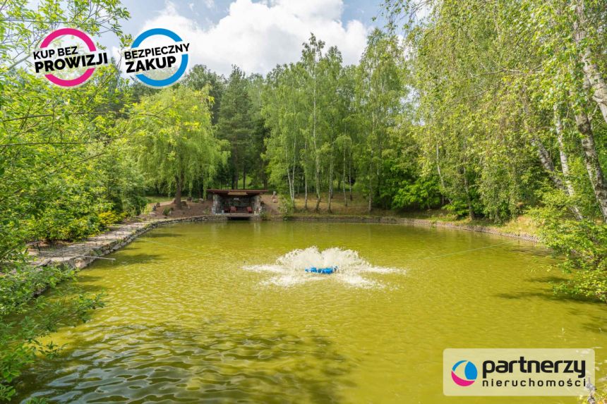 Szemud Mercerstwo, 3 400 000 zł, 556 m2, 12 pokoi miniaturka 14
