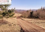 1,2 ha z warunkami zabudowy, pod lasem miniaturka 6