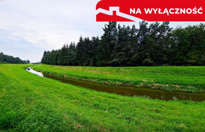 Łąki przy kanale - częściowo pod wydobycie torfu!! miniaturka 3