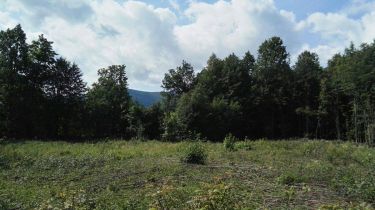 Grunt  na sprzedaż, Karpacz, 10000.00 m2
