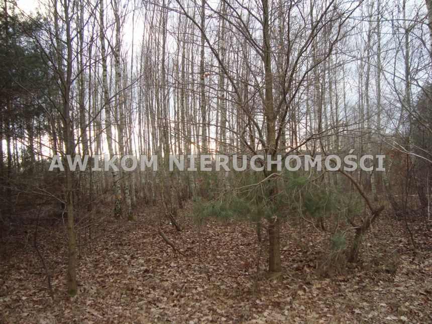 Ojrzanów-Towarzystwo, 414 000 zł, 16.55 ar, woda w drodze miniaturka 3