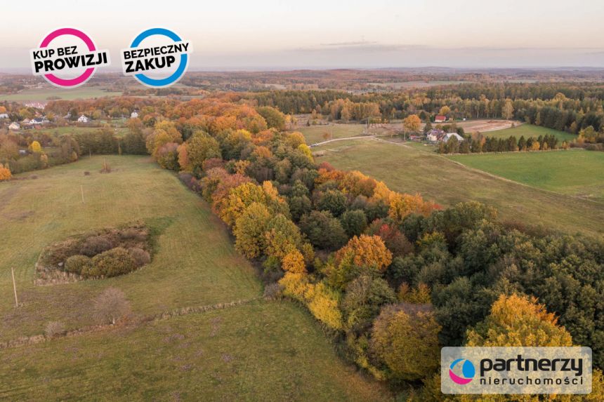 Buszkowy, 130 000 zł, 27 ar, droga dojazdowa gruntowa miniaturka 8