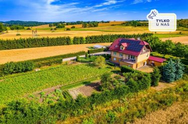 Piękny duży dom z działką 9211m2 i drugim domem