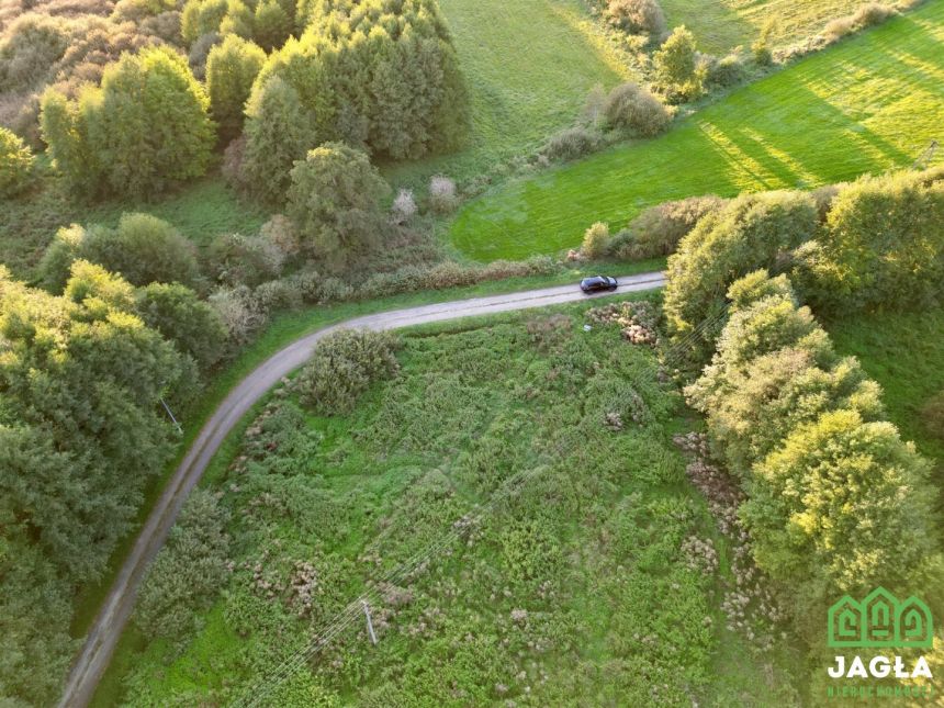 Zielonczyn 2000m2 media, możliwość wyst. o W.Z - zdjęcie 1