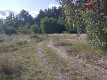 Działka w Toruniu
