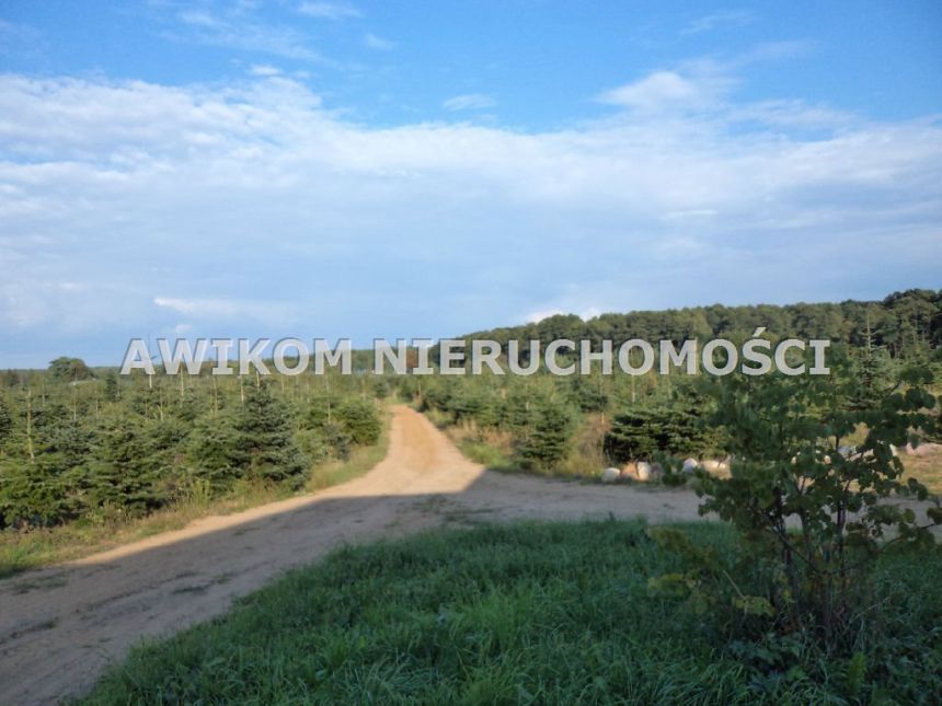 Grzegorzewice 13 900 000 zł 2463220 m2 miniaturka 3