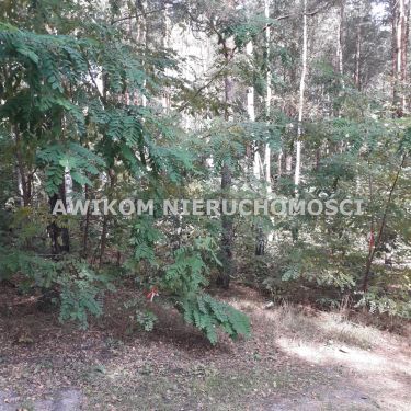 Mościska, 130 000 zł, 31.22 ar, siedliskowa