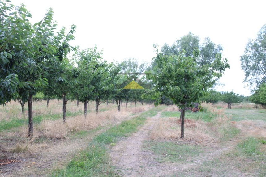 Działki budowlane Gorzów Wlkp., obręb Chróścik miniaturka 6