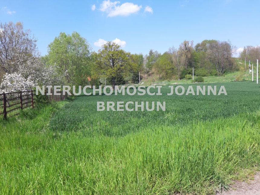 Krzyżowa, 395 000 zł, 1.49 ha, przyłącze wodociągu miniaturka 4