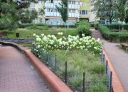 2-pokojowe mieszkanie na Pradze-Południe miniaturka 12