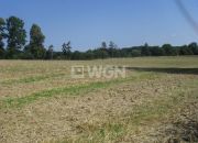Kurów Mały, 570 000 zł, 1.9 ha, bez nasadzeń miniaturka 7