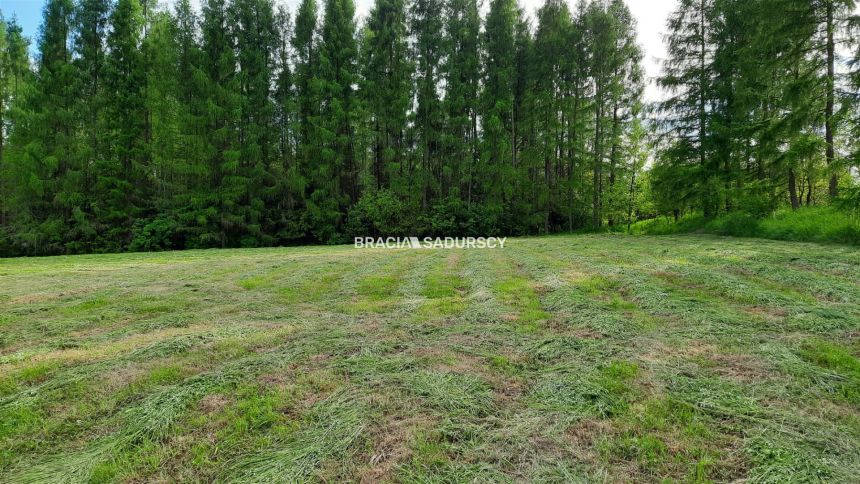 Działka budowlana 8900 m2 Poręba Żegoty miniaturka 20