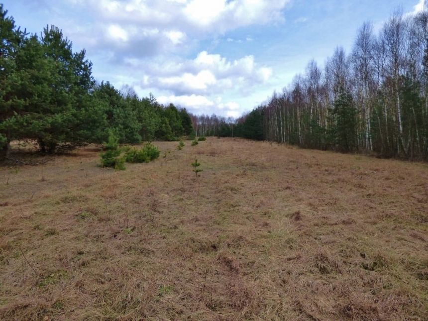 DZIAŁKA 3700 m² WÓLKA ŁEKAWSKA miniaturka 9