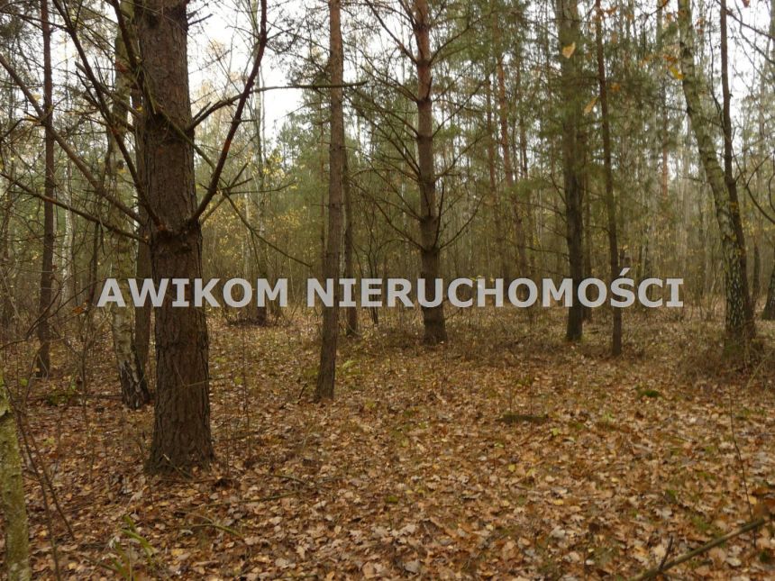 Antoniew, 195 000 zł, 1.25 ha, budowlana miniaturka 11