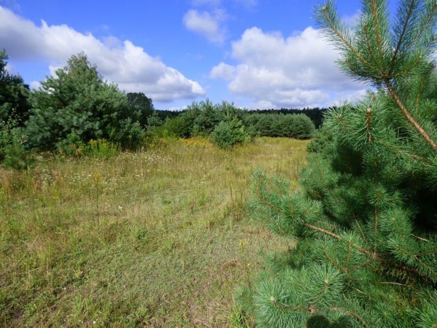 DZIAŁKI  4840 m2, BĘDZELIN GM. KOLUSZKI miniaturka 4