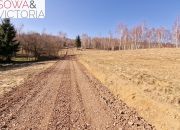 1,2 ha z warunkami zabudowy, pod lasem miniaturka 4