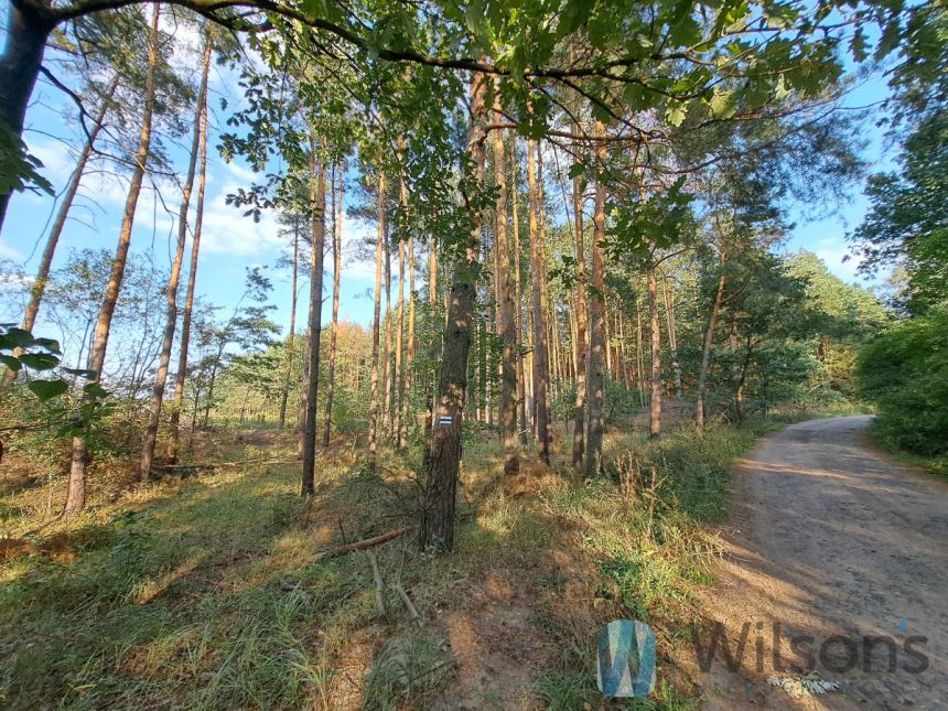 Bieliny, 500 000 zł, 2.49 ha, droga dojazdowa asfaltowa miniaturka 4