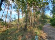 Bieliny, 500 000 zł, 2.49 ha, droga dojazdowa asfaltowa miniaturka 4